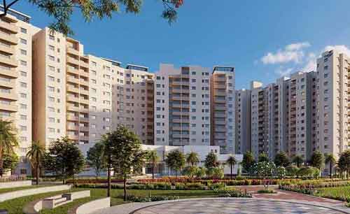 Century Liva