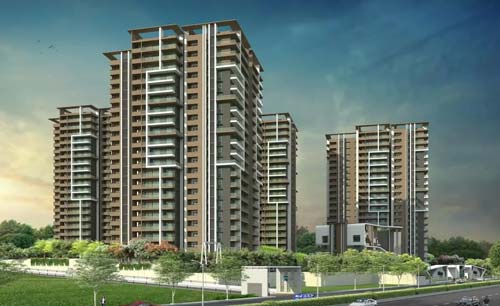 Provident Ecopolitan